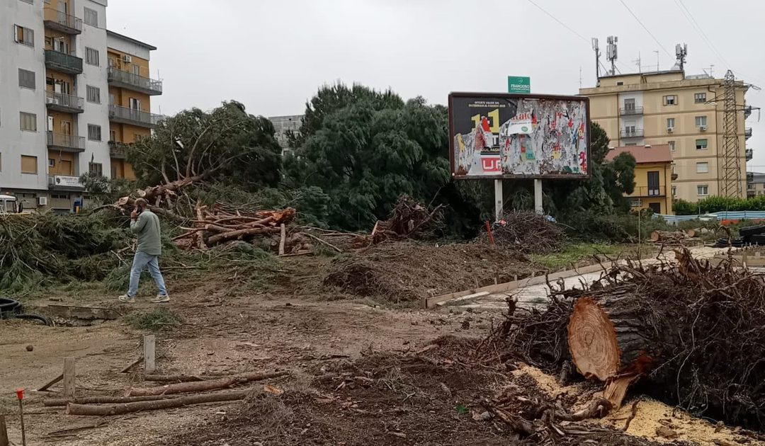Area urbana con alberi abbattuti e detriti