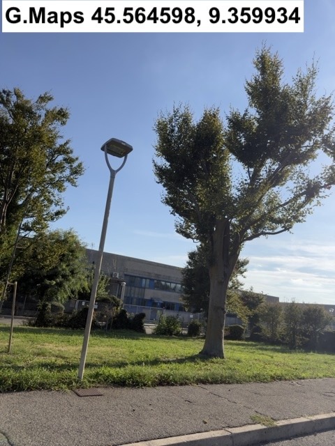 Foto del danno