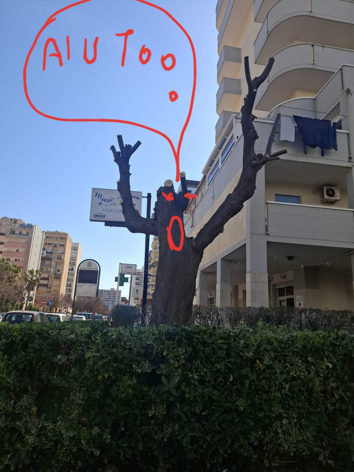Foto del danno